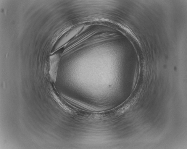 X0000060560881200511241248