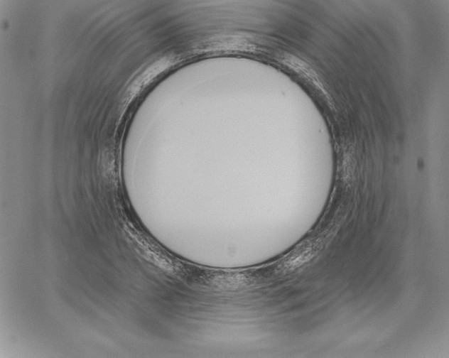 X0000060560882200511241248