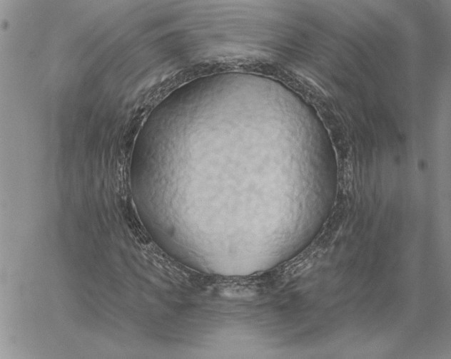 X0000060560917200511241247