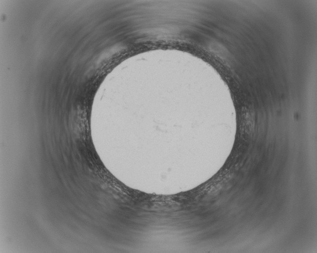 X0000060560918200511241247