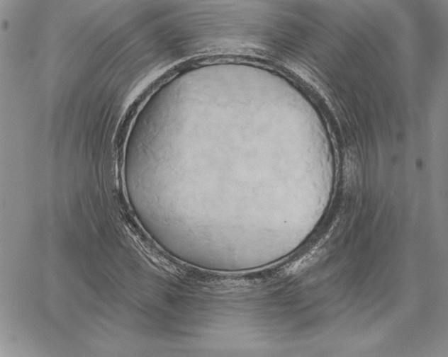 X0000060560925200511241247