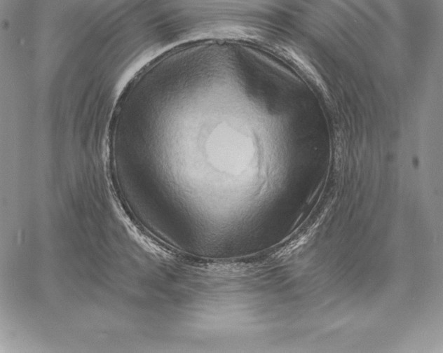 X0000060560944200511241247