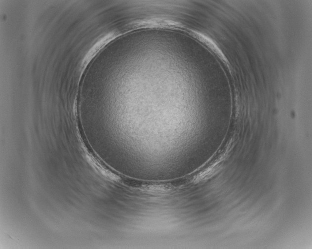 X0000060560946200511241247