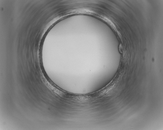 X0000060560947200511241247