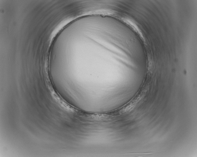 X0000060560952200511241247