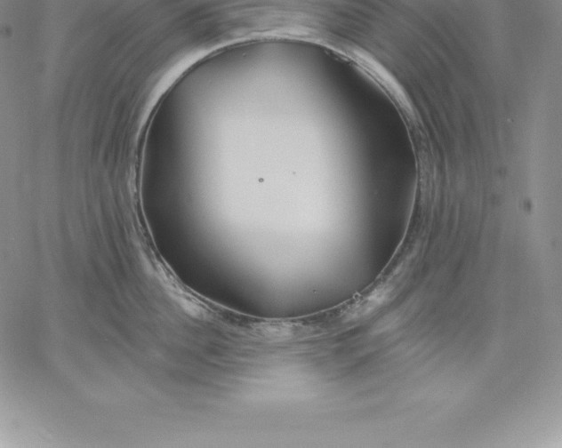 X0000060560956200511241247