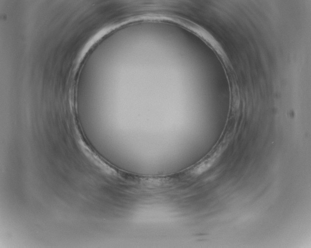 X0000060560958200511241247