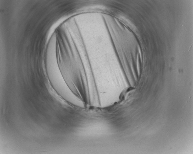 X0000060560960200511241247