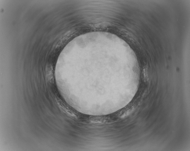 X0000060560963200511241246