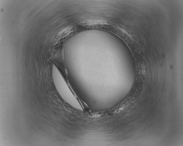 X0000060560965200511241246