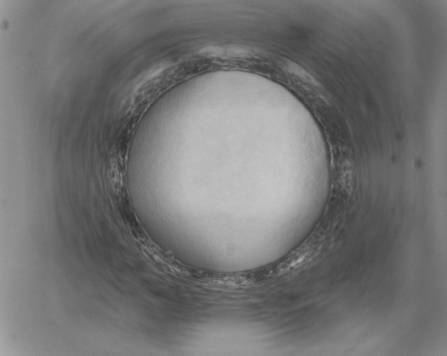 X0000060560966200511241246