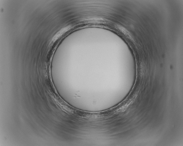 X0000060560970200511241246