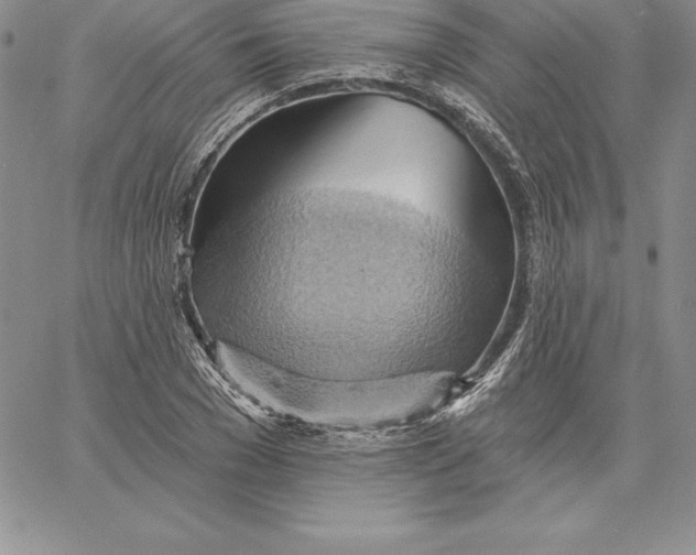 X0000060560977200511241246