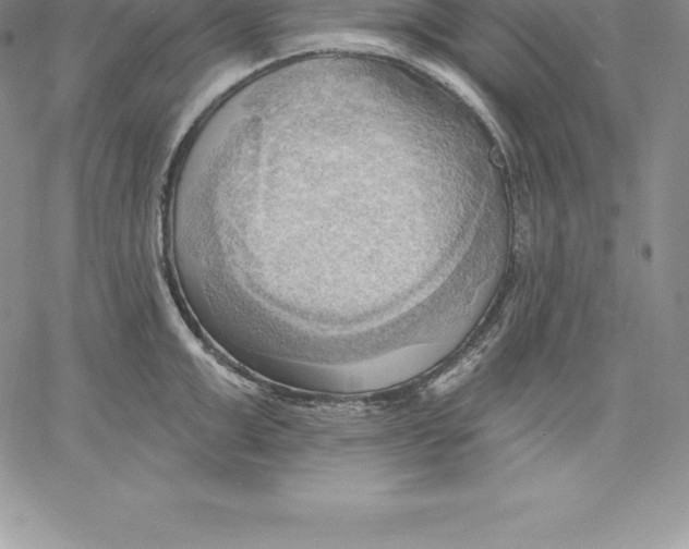 X0000060560999200511241246