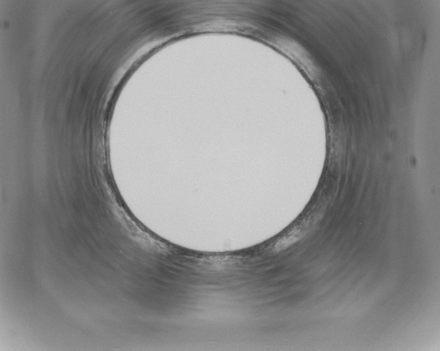 X0000060561000200511241246