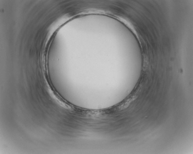 X0000060561003200511241246