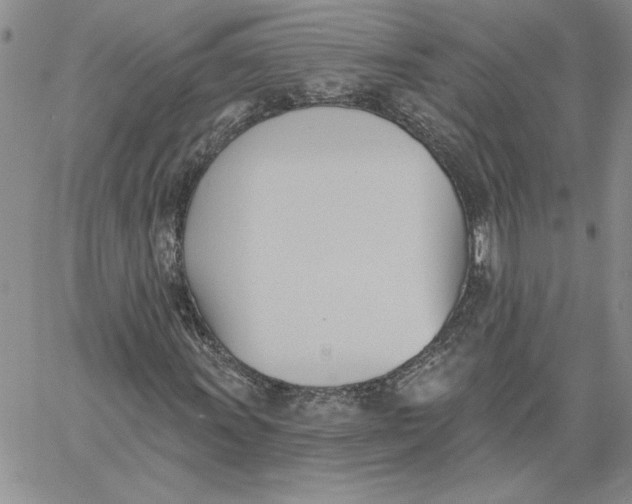 X0000060561011200511241245