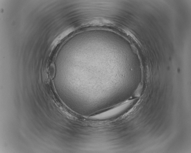 X0000060561018200511241245