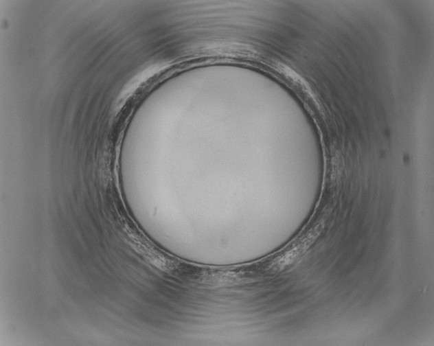 X0000060561019200511241245