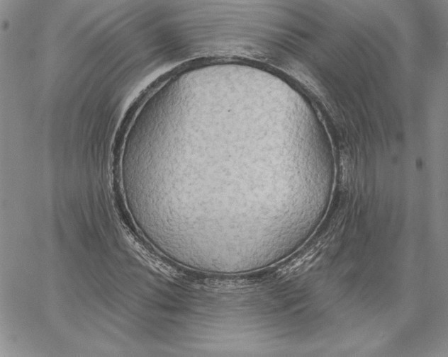 X0000060561020200511241245