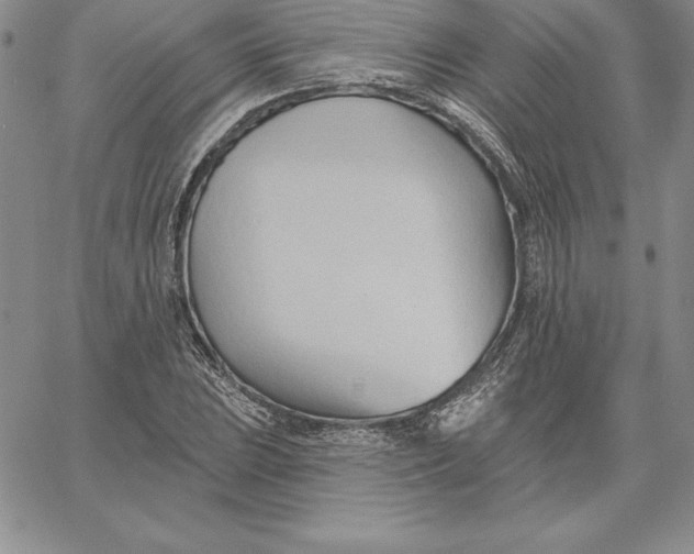 X0000060561023200511241245
