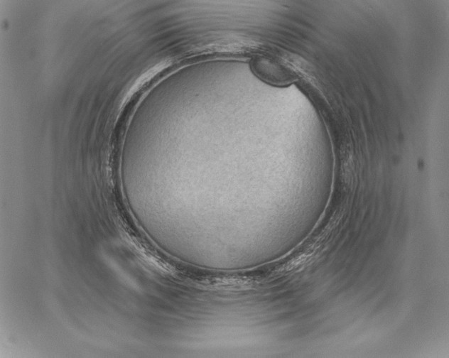 X0000060561026200511241245