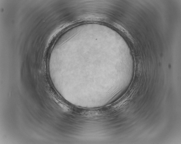 X0000060561027200511241245