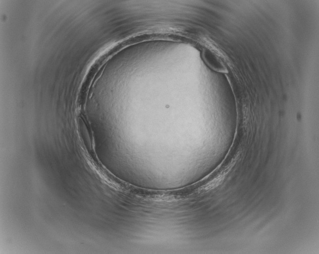 X0000060561029200511241245