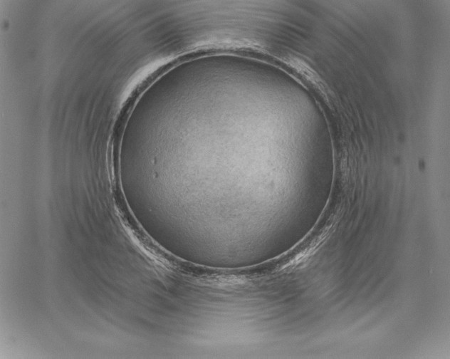X0000060561030200511241245