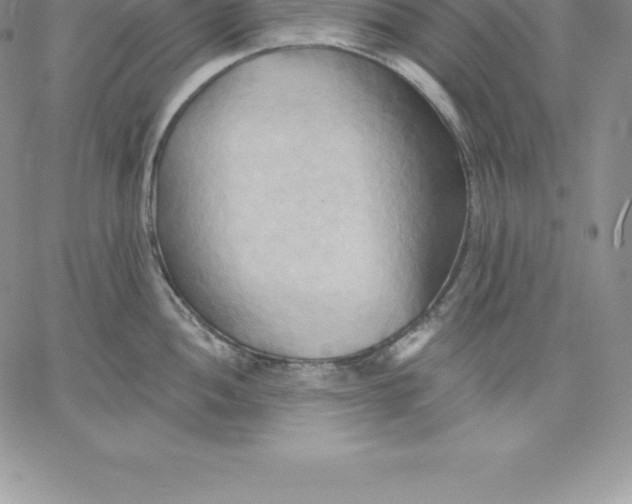 X0000060561052200511241246