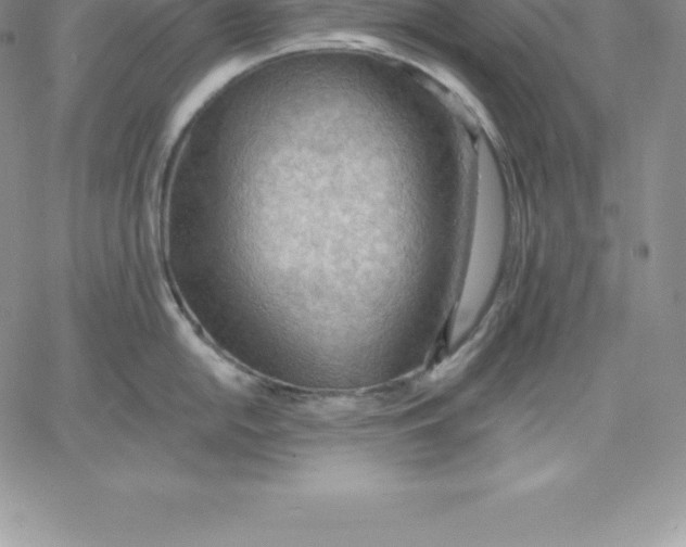 X0000060561054200511241246