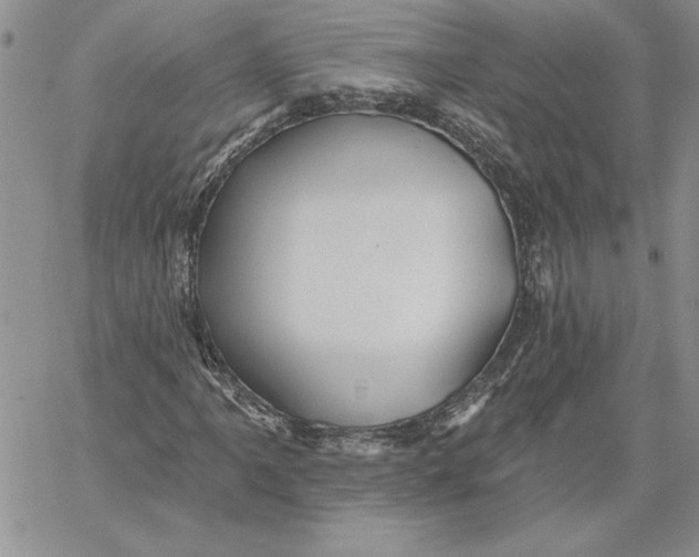 X0000060561061200511241245