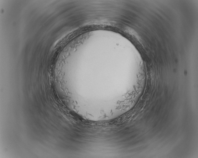 X0000060561064200511241245