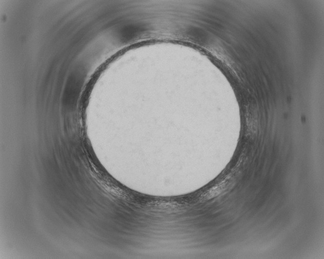 X0000060561070200511241245