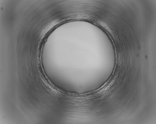 X0000060561071200511241245
