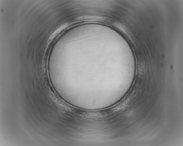 X0000060561074200511241245