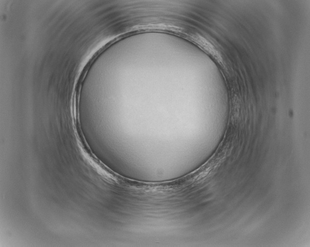 X0000060561084200511241245