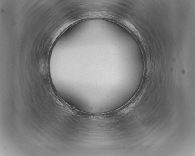 X0000060561089200511241244