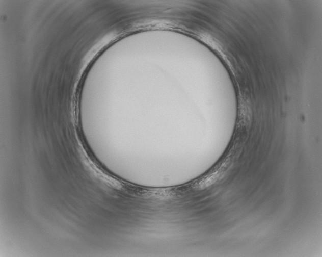 X0000060561090200511241244
