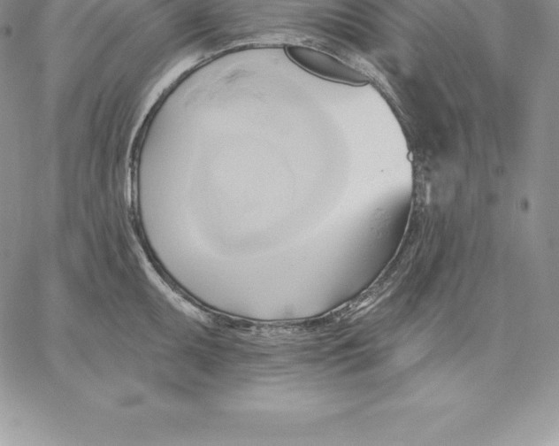 X0000060561095200511241244