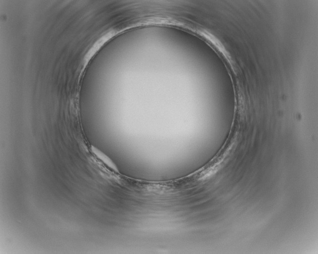 X0000060561097200511241244