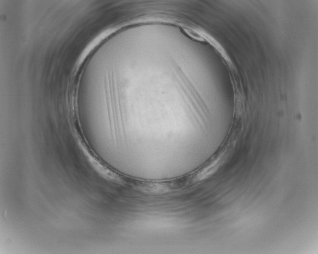 X0000060561101200511241244