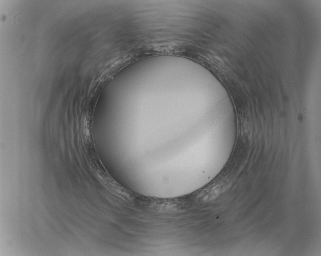 X0000060561106200511241243