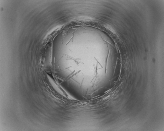 X0000060561112200511241244