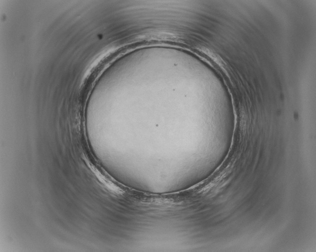 X0000060561115200511241244
