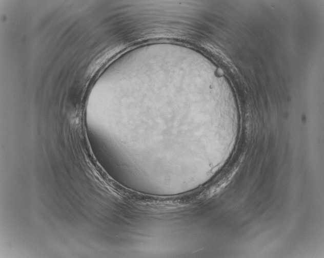 X0000060561121200511241244
