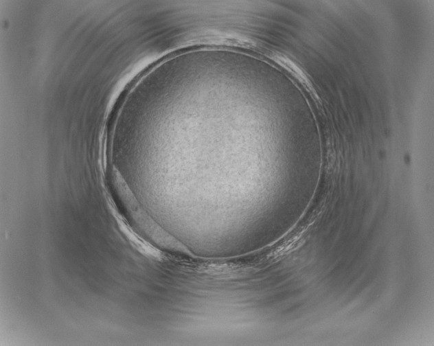 X0000060561128200511241244