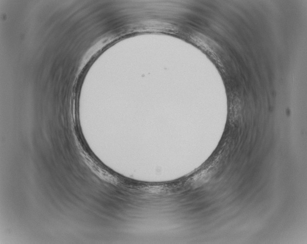 X0000060561130200511241244