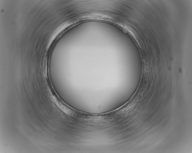 X0000060561131200511241244