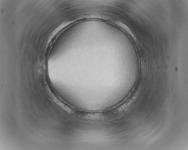 X0000060561133200511241244